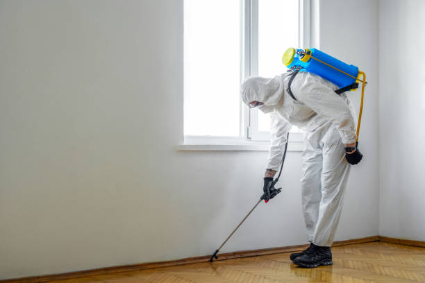 Best Residential Pest Control  in Largo, MD